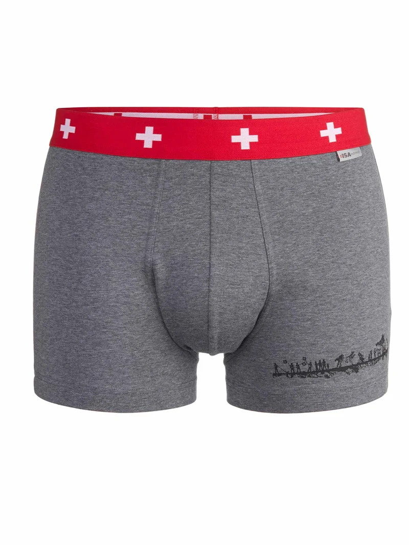 Pant Andy SCHWINGER in grau mit rot