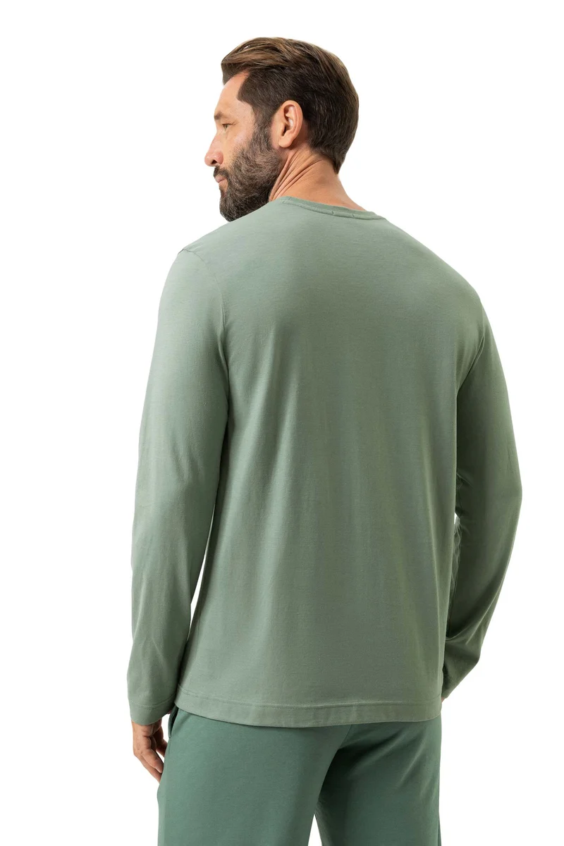 Langarm-Shirt NEO, Rundhals, in Sommerfarbe eden green