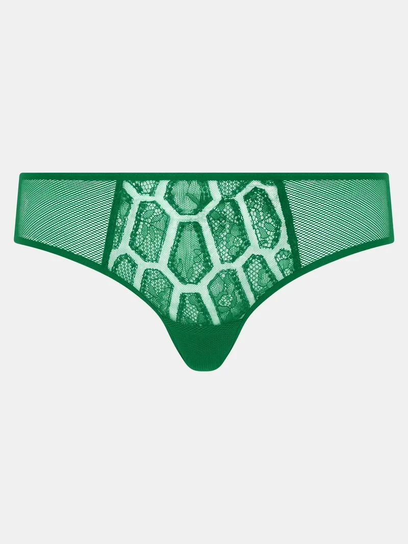 Chantelle - Reptilia enthüllt Shorty Scotland Green