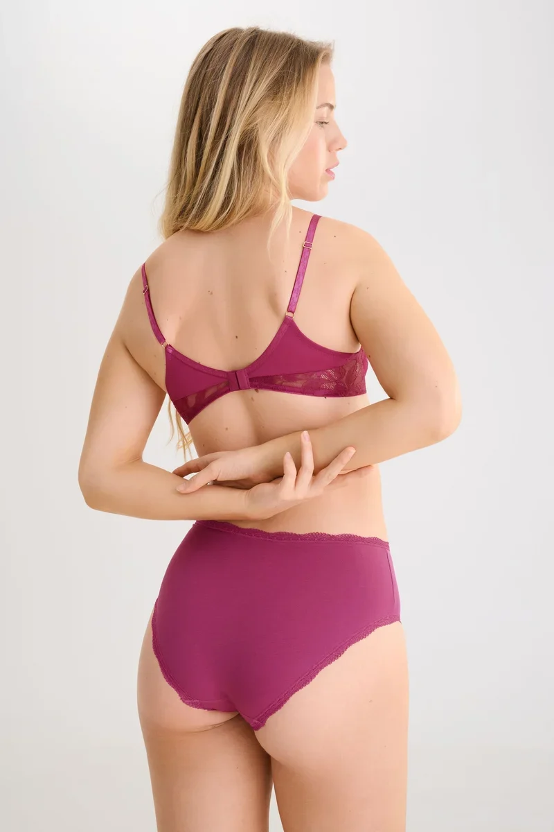 Lisca - Everyday High Waisted Slips Wild Rose