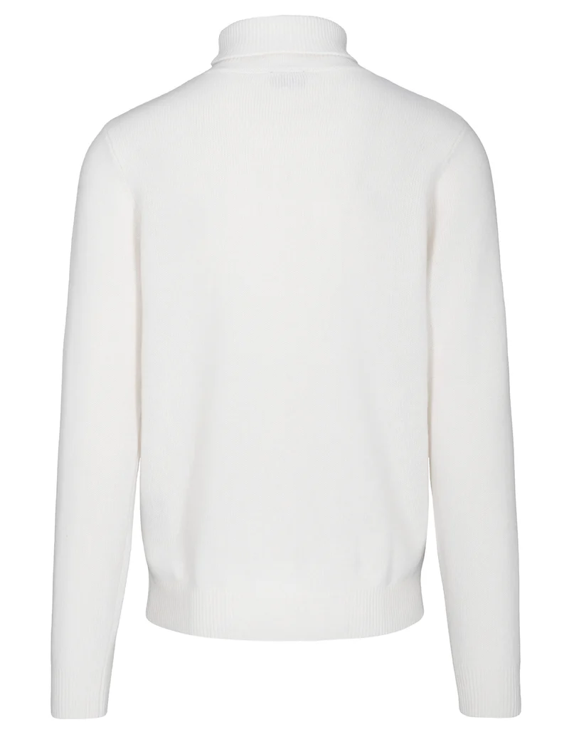 Rollkragen Pullover, 1/1 Arm