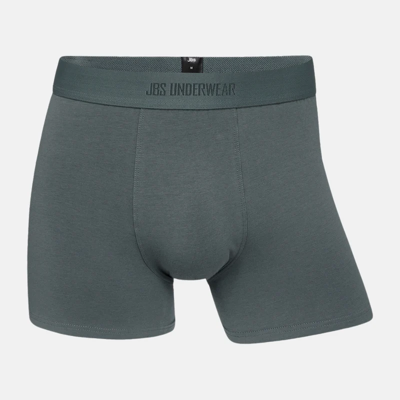 5er-Pack Bambus-Unterhosen in blau/grau
