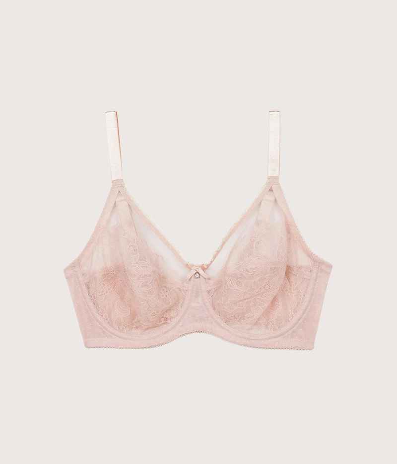 Retro Chic Full Figure Underwire Bra Rose Dust