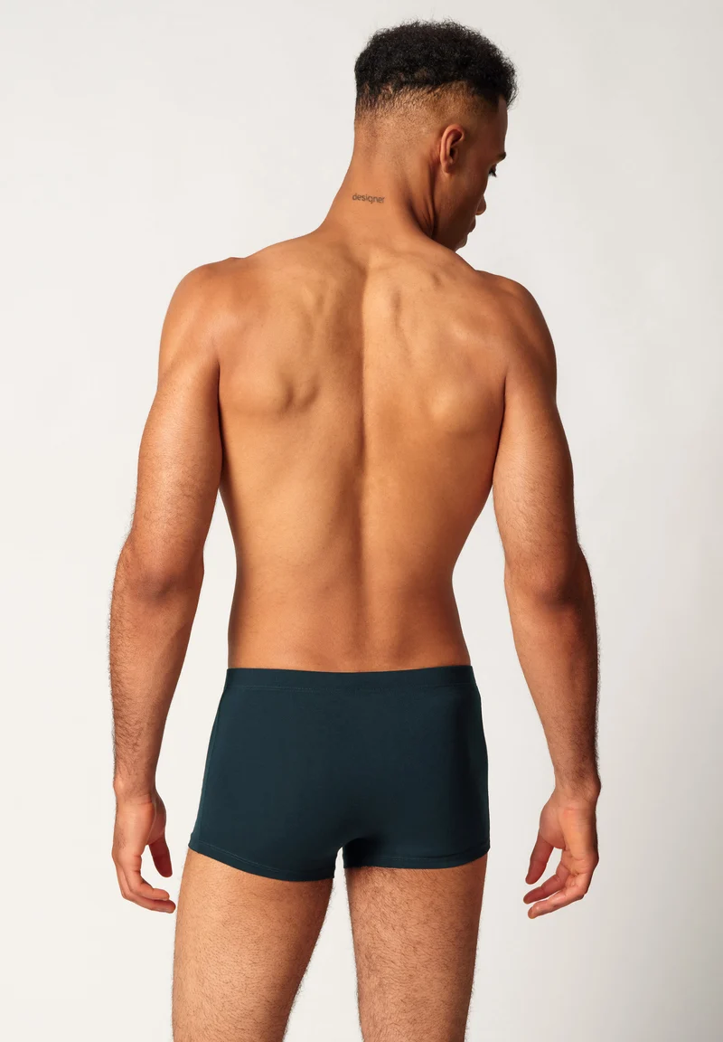 Cotton Multipack Trunks 2 pack | blueberrystripes selection 087608-08S996