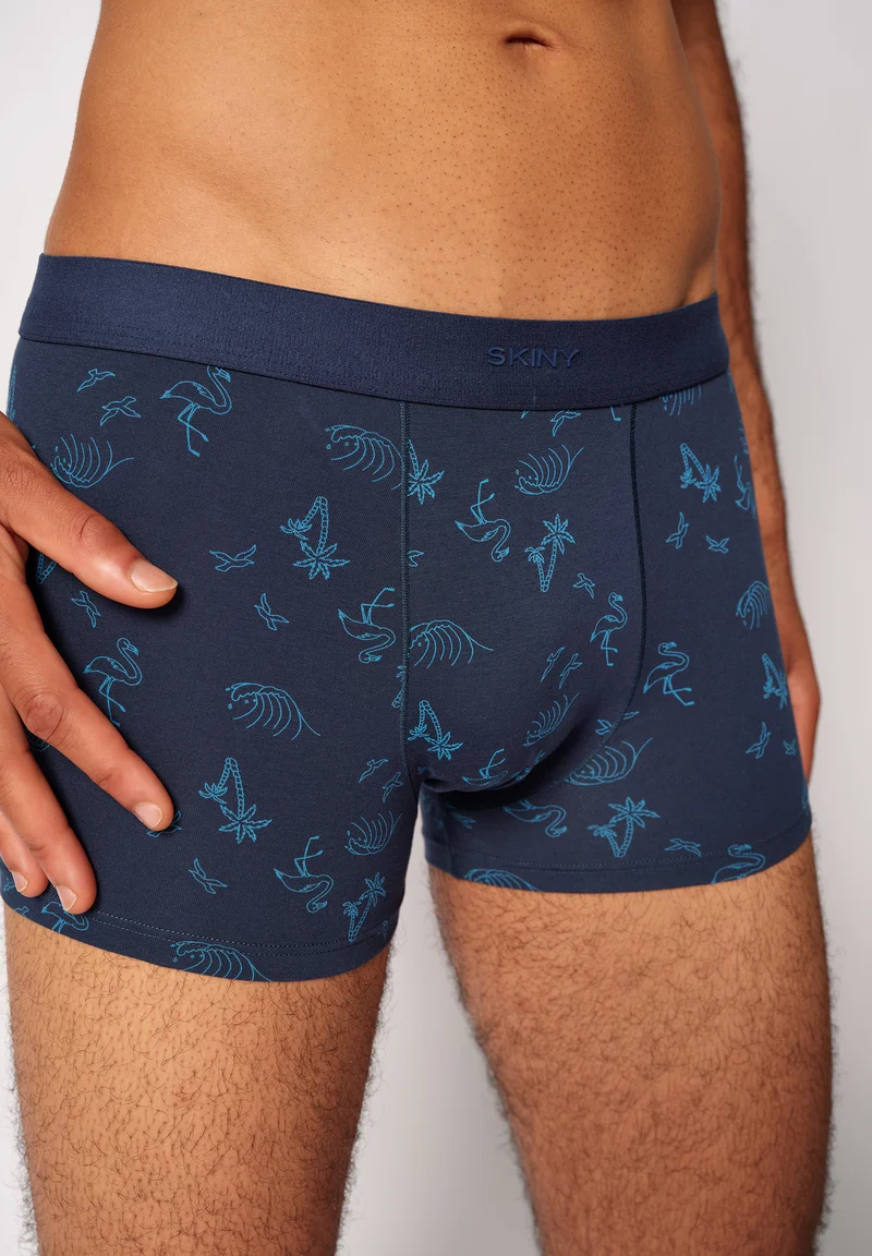 Cotton Multipack Trunks 2 pack | paradise selection 086177-08S820