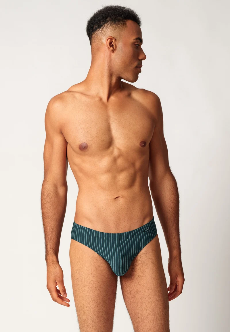 Cotton Multipack Briefs 2 pack | blueberrystripes selection 087607-08S996