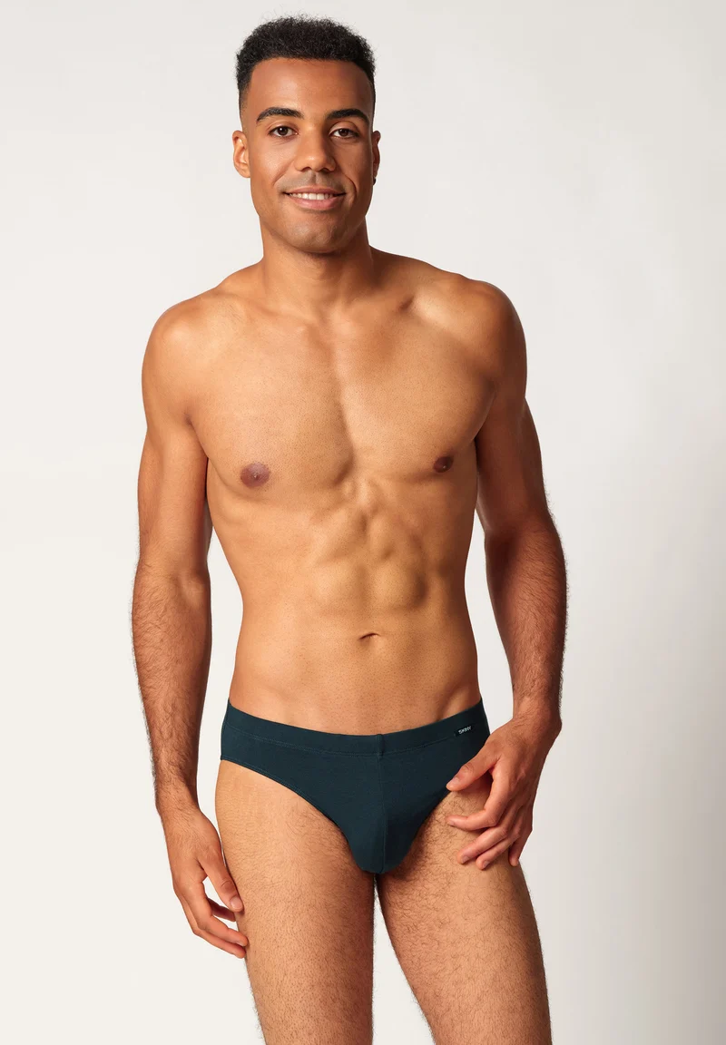 Cotton Multipack Briefs 2 pack | blueberrystripes selection 087607-08S996