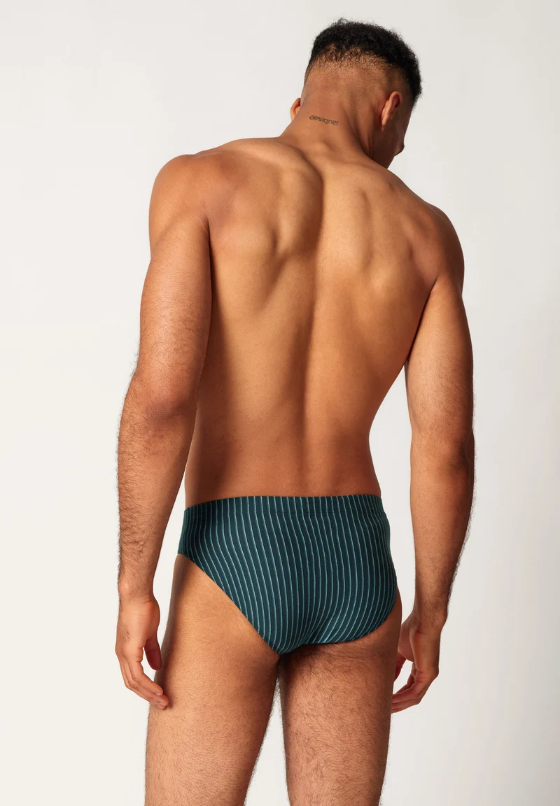 Cotton Multipack Briefs 2 pack | blueberrystripes selection 087607-08S996