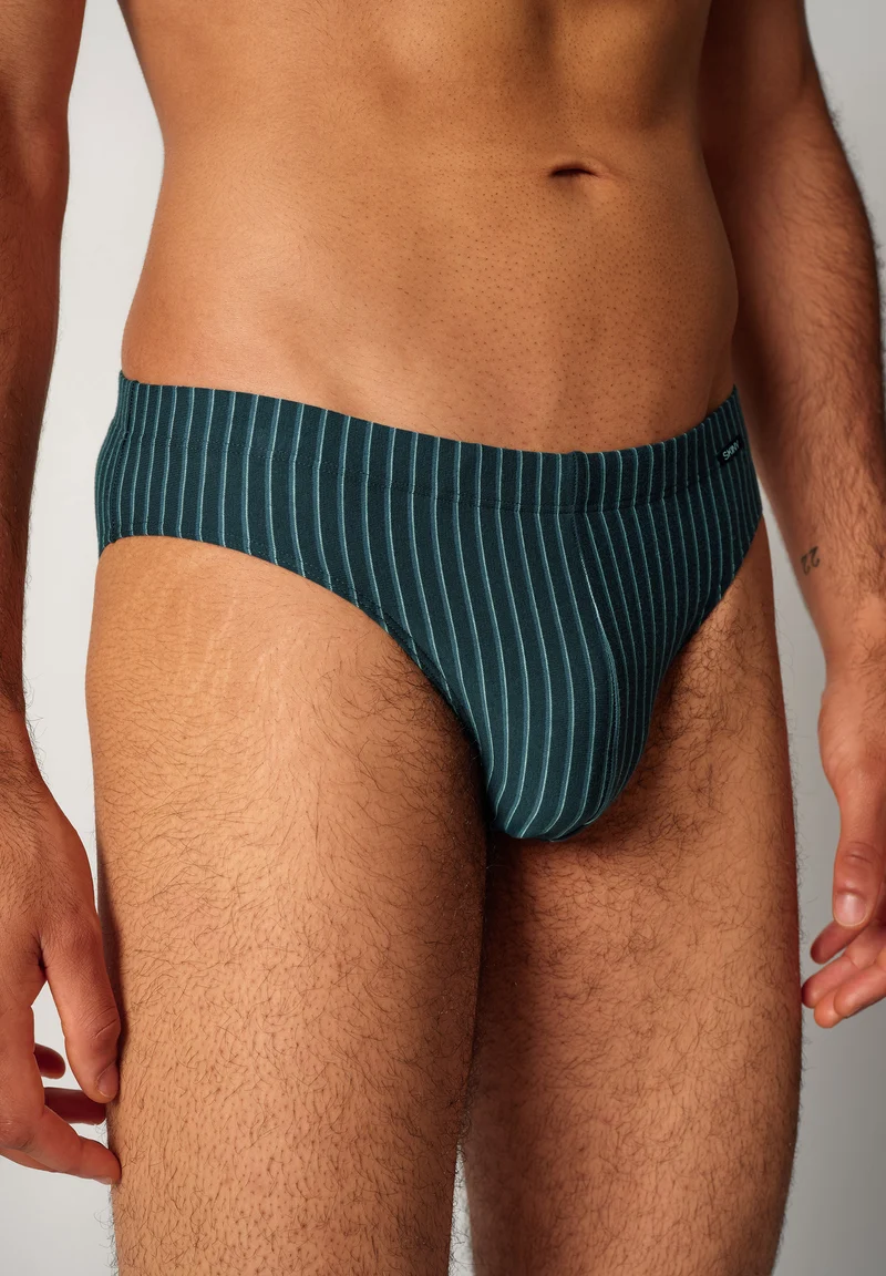 Cotton Multipack Briefs 2 pack | blueberrystripes selection 087607-08S996