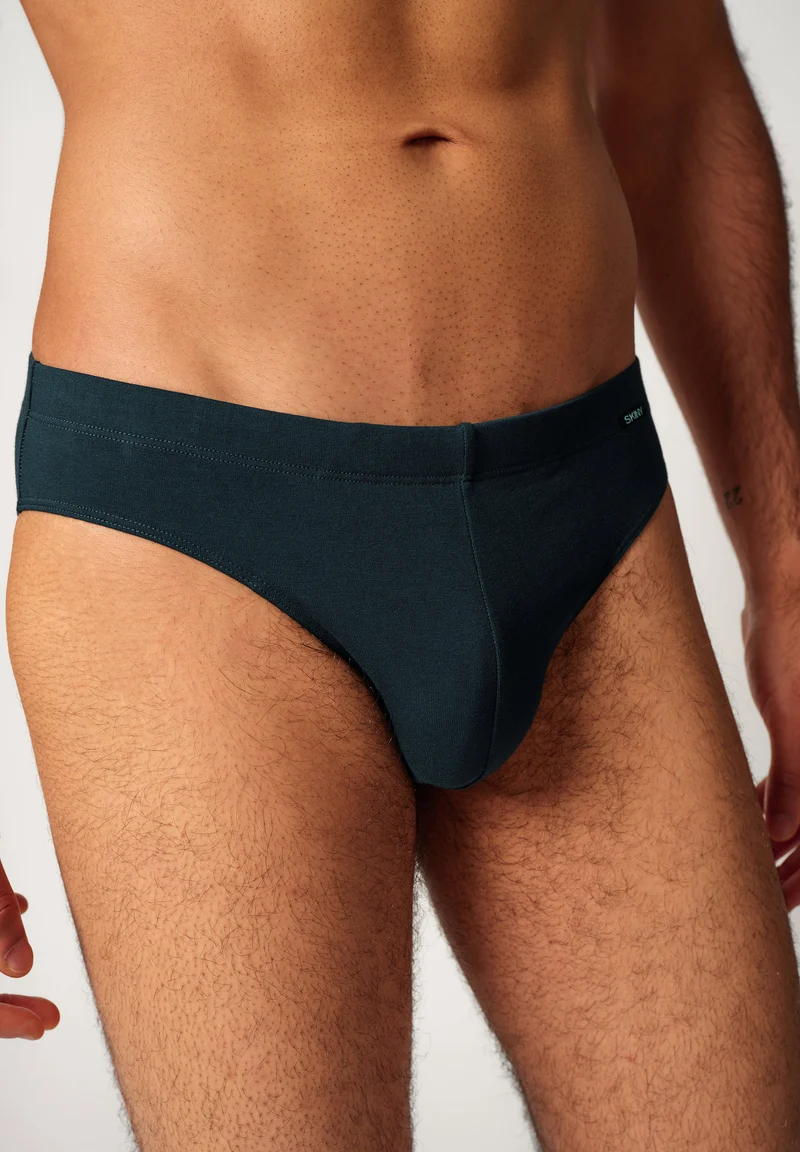Cotton Multipack Briefs 2 pack | blueberrystripes selection 087607-08S996
