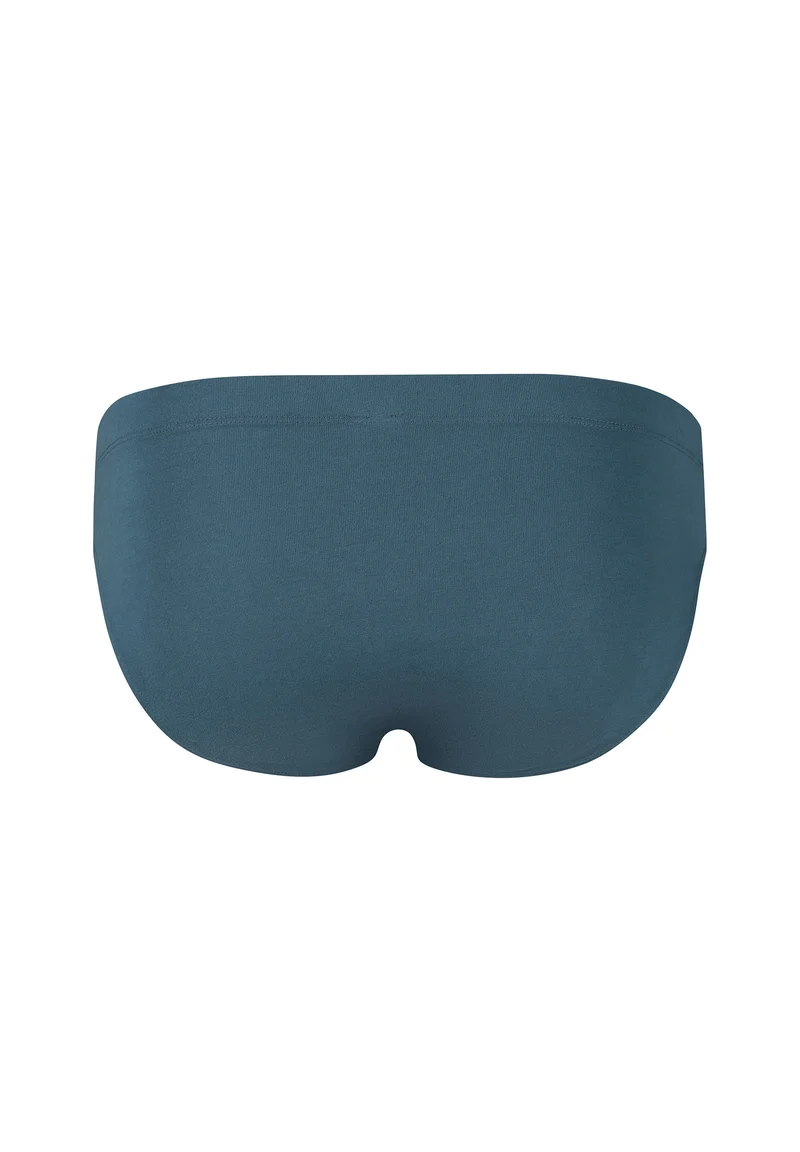 Cotton Multipack Briefs 2 pack | parisianbluestripes selection 087607-08A093