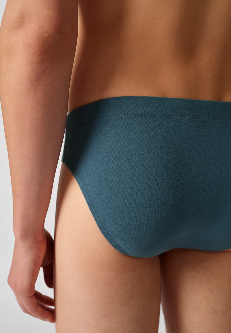 Cotton Multipack Briefs 2 pack | parisianbluestripes selection 087607-08A093