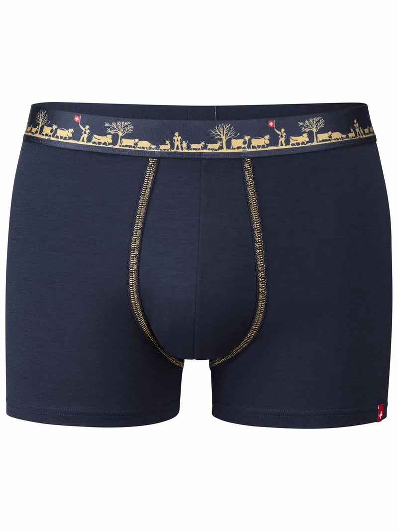 Pant Andy SCHWINGER in dunkelblau