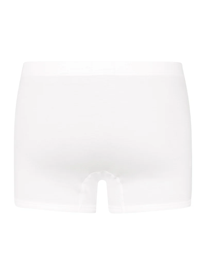 Pants, Boxer Pant SEA ISLAND COTTON