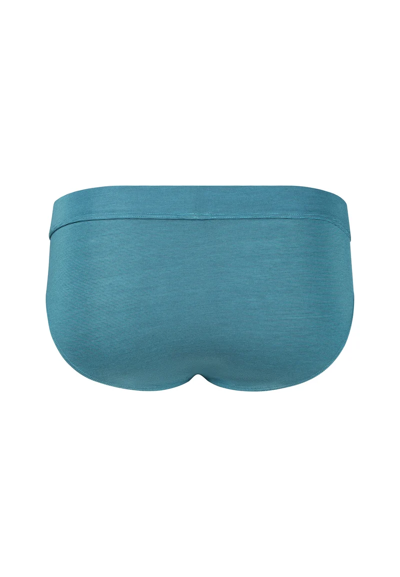 Cooling Deluxe Briefs | brilliantblue stripes 080409-08A100