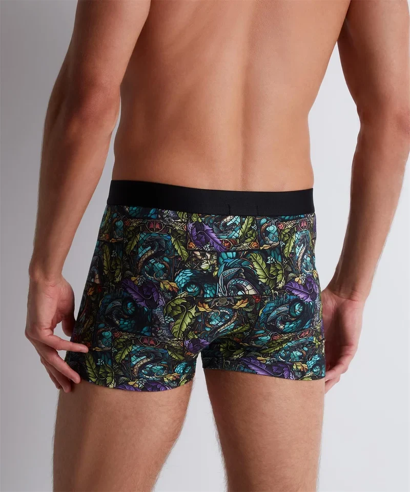 Aubade - Aubade Herrenshorts Dragon