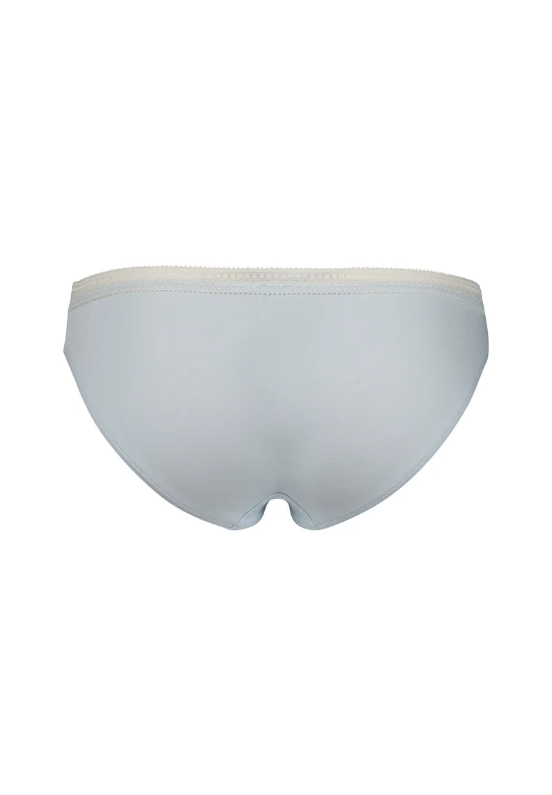 Natural Beauty Bikini briefs | ice water 086923-08A167