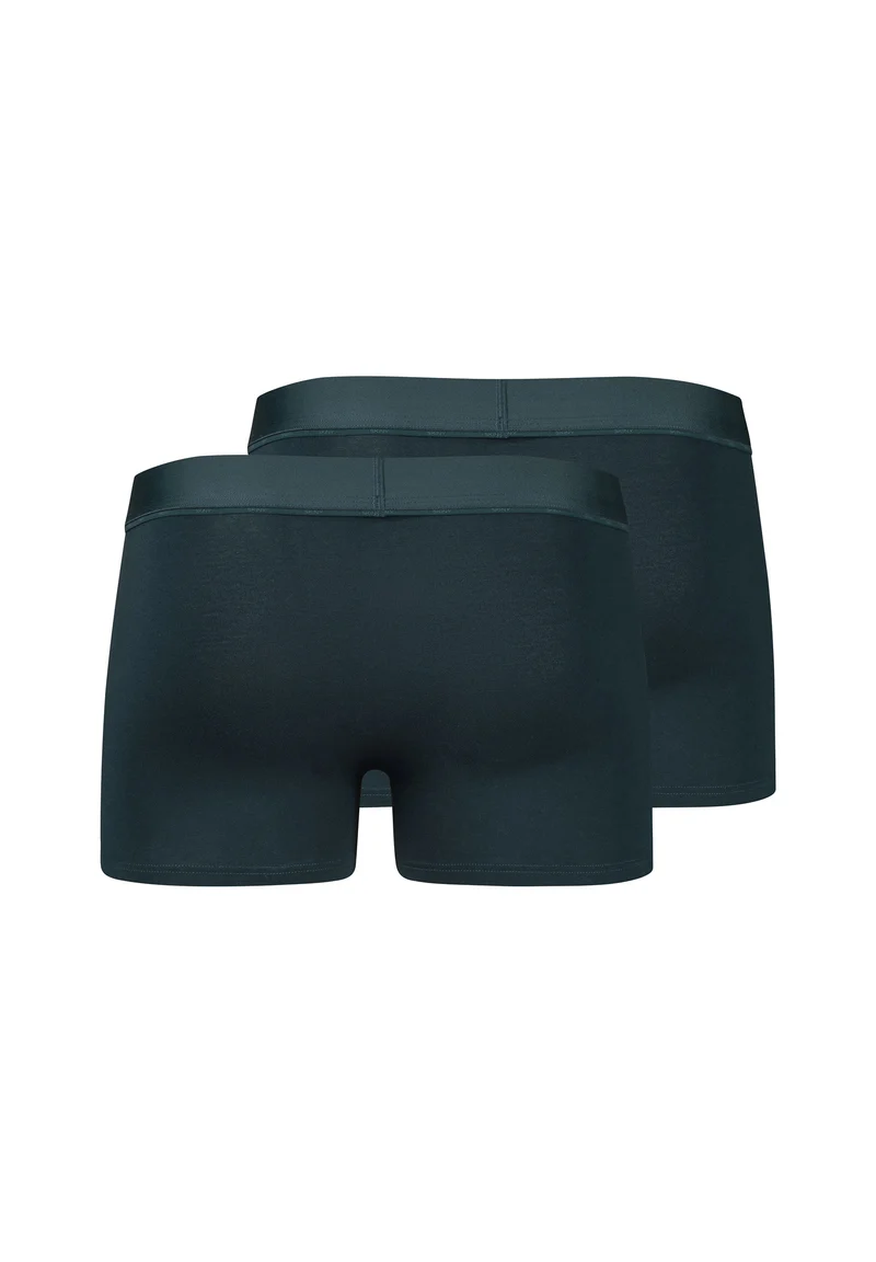 Cotton Multipack Trunks 2 pack | blueberry selection 086193-08A063