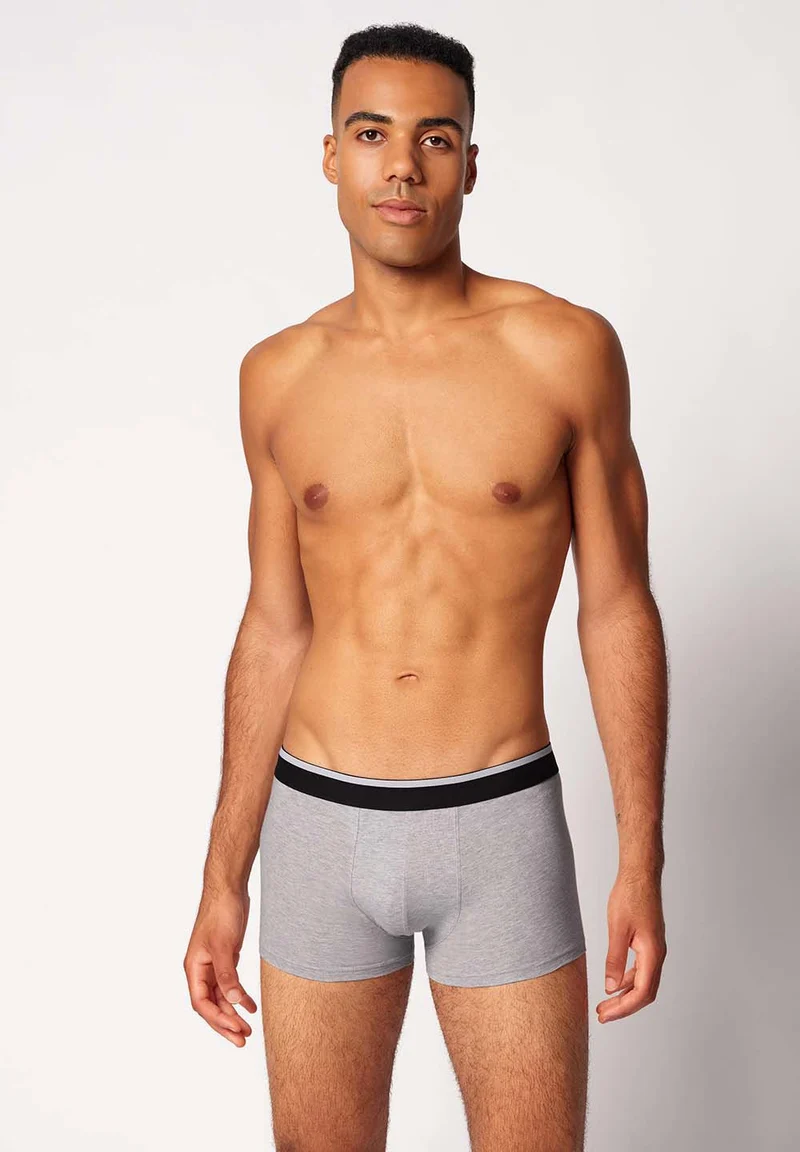 Cotton Multipack Trunks 2 pack | melange fusion 085132-08S794