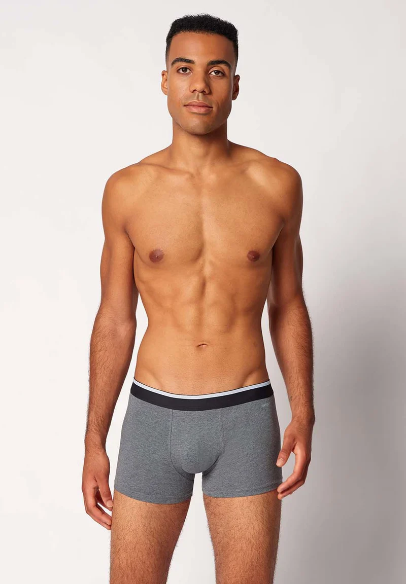 Cotton Multipack Trunks 2 pack | melange fusion 085132-08S794