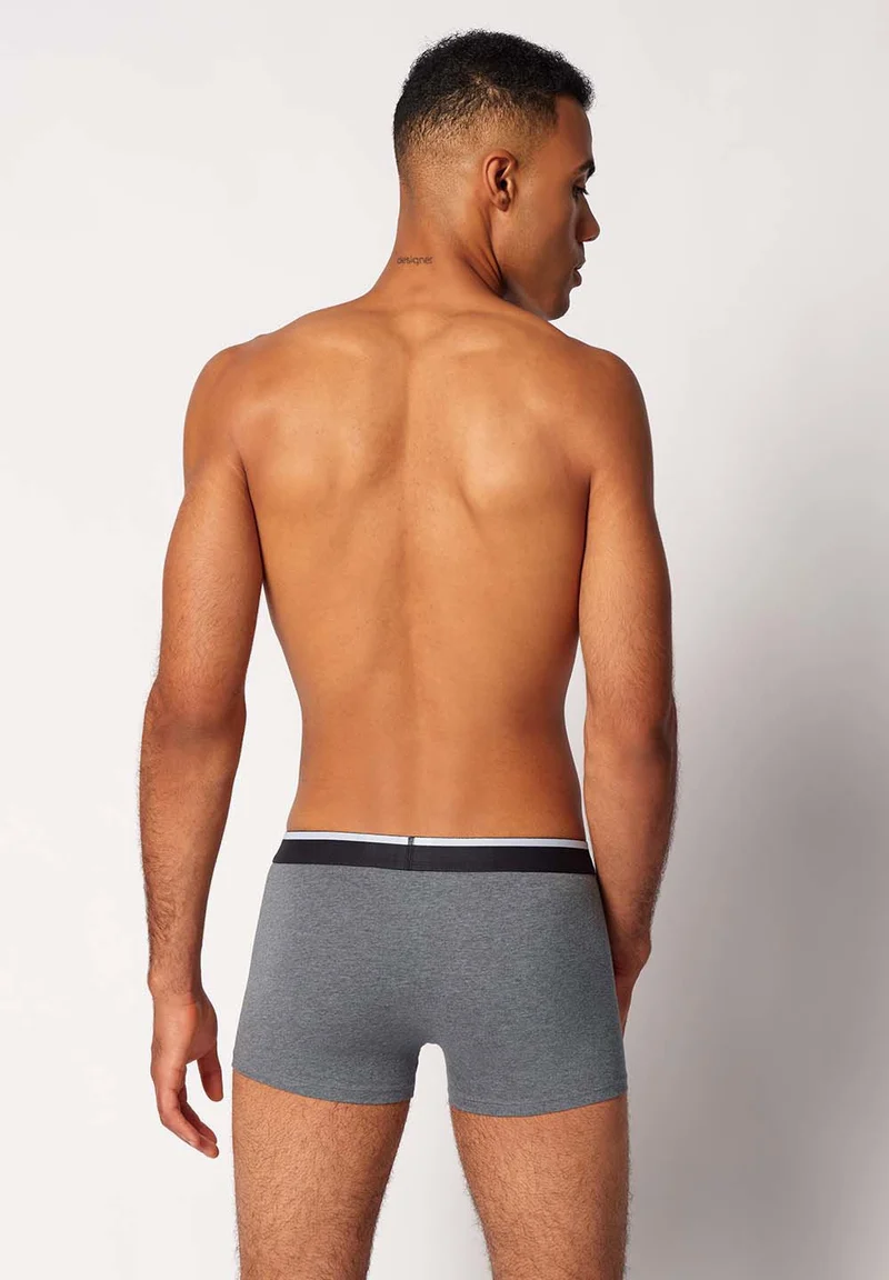 Cotton Multipack Trunks 2 pack | melange fusion 085132-08S794