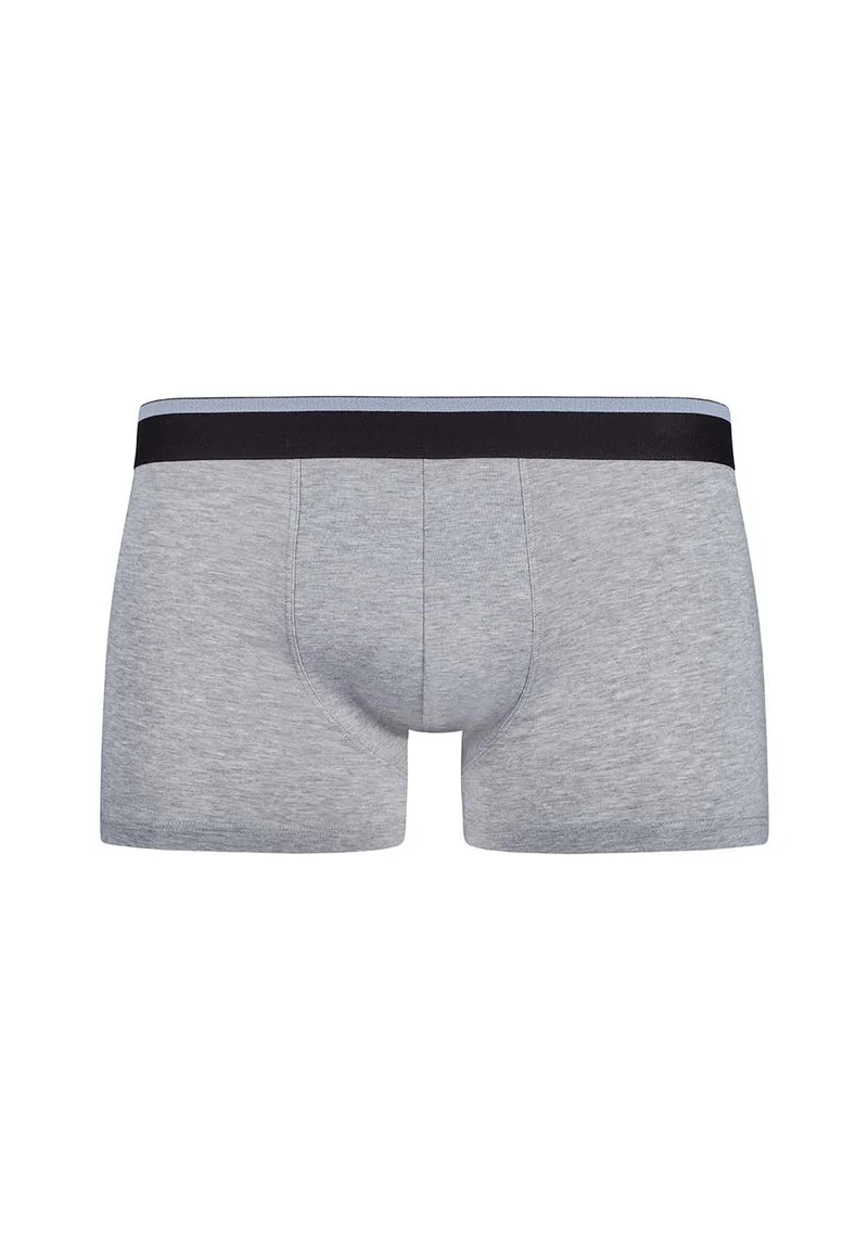 Cotton Multipack Trunks 2 pack | melange fusion 085132-08S794