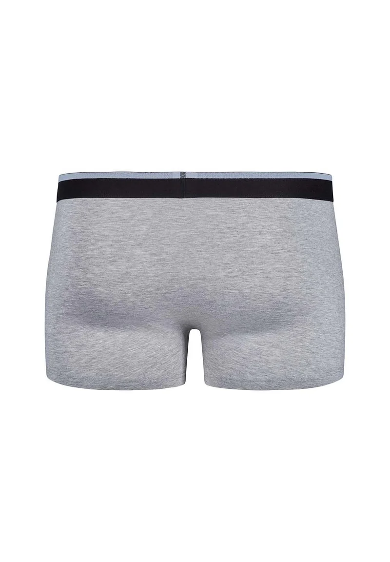 Cotton Multipack Trunks 2 pack | melange fusion 085132-08S794