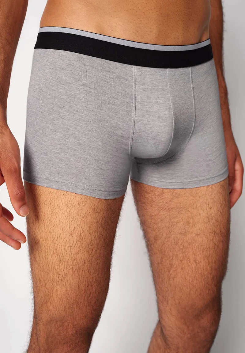 Cotton Multipack Trunks 2 pack | melange fusion 085132-08S794