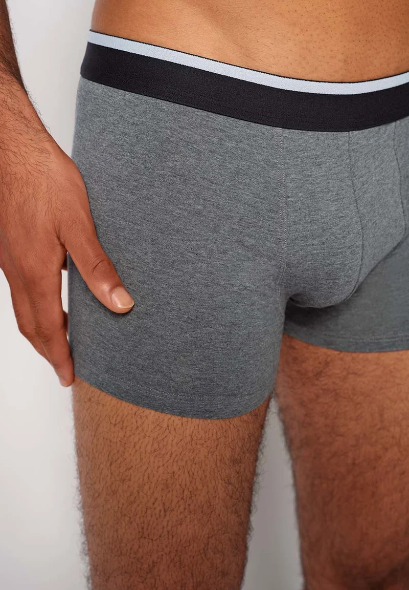 Cotton Multipack Trunks 2 pack | melange fusion 085132-08S794