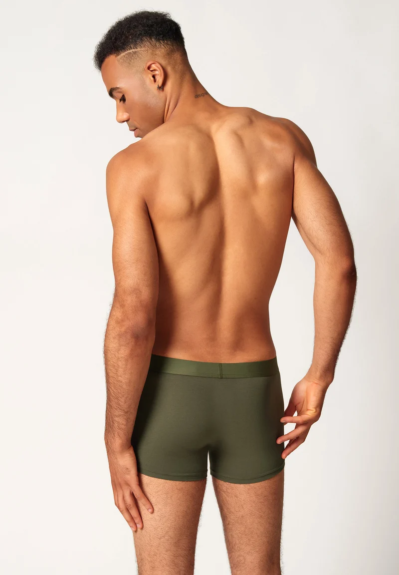 Cotton Multipack Trunks 2 pack | flamingos selection 085132-08A020