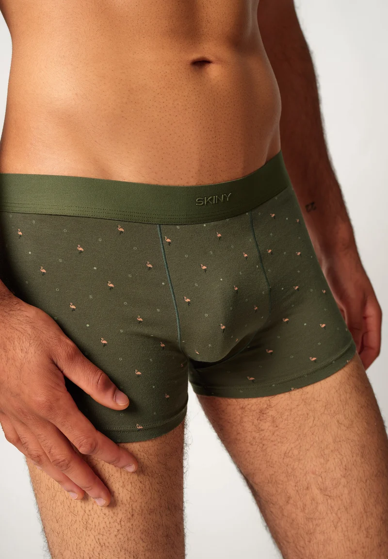 Cotton Multipack Trunks 2 pack | flamingos selection 085132-08A020