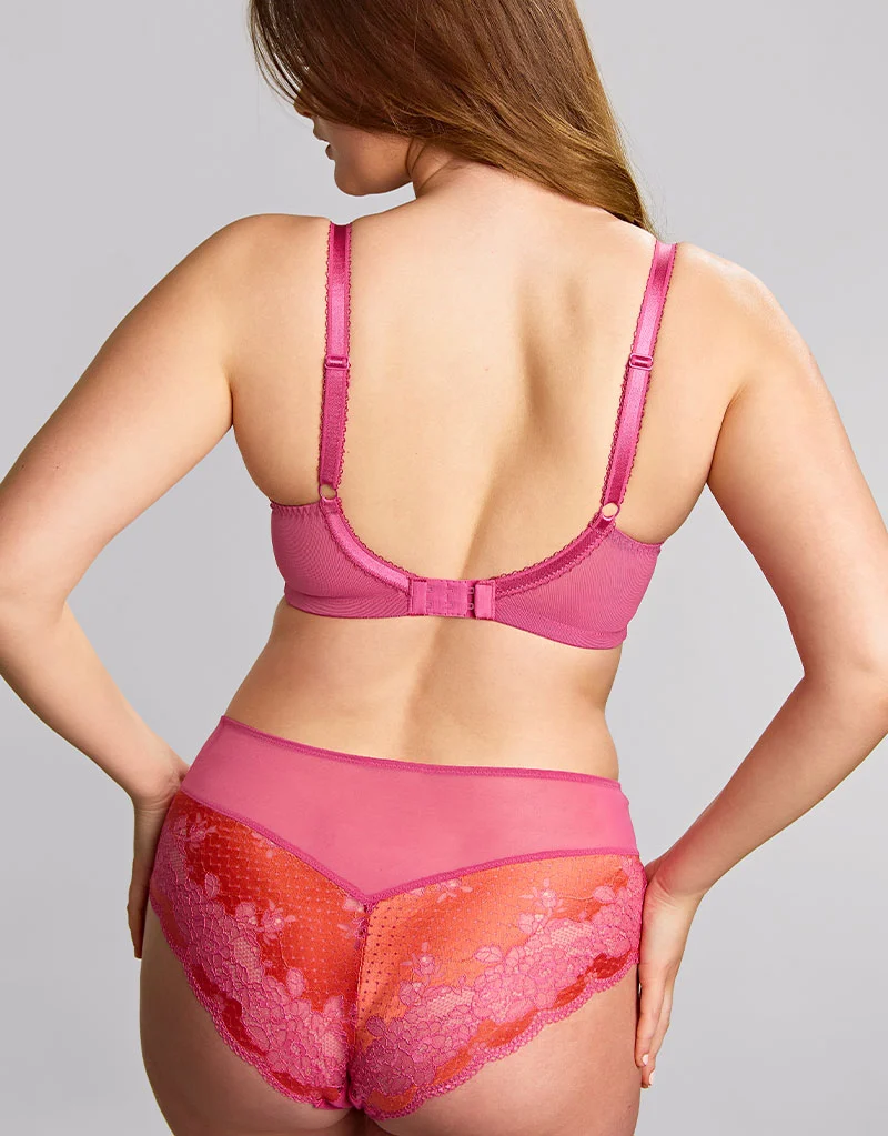 Panache Clara Deep Brief Papaya Pink