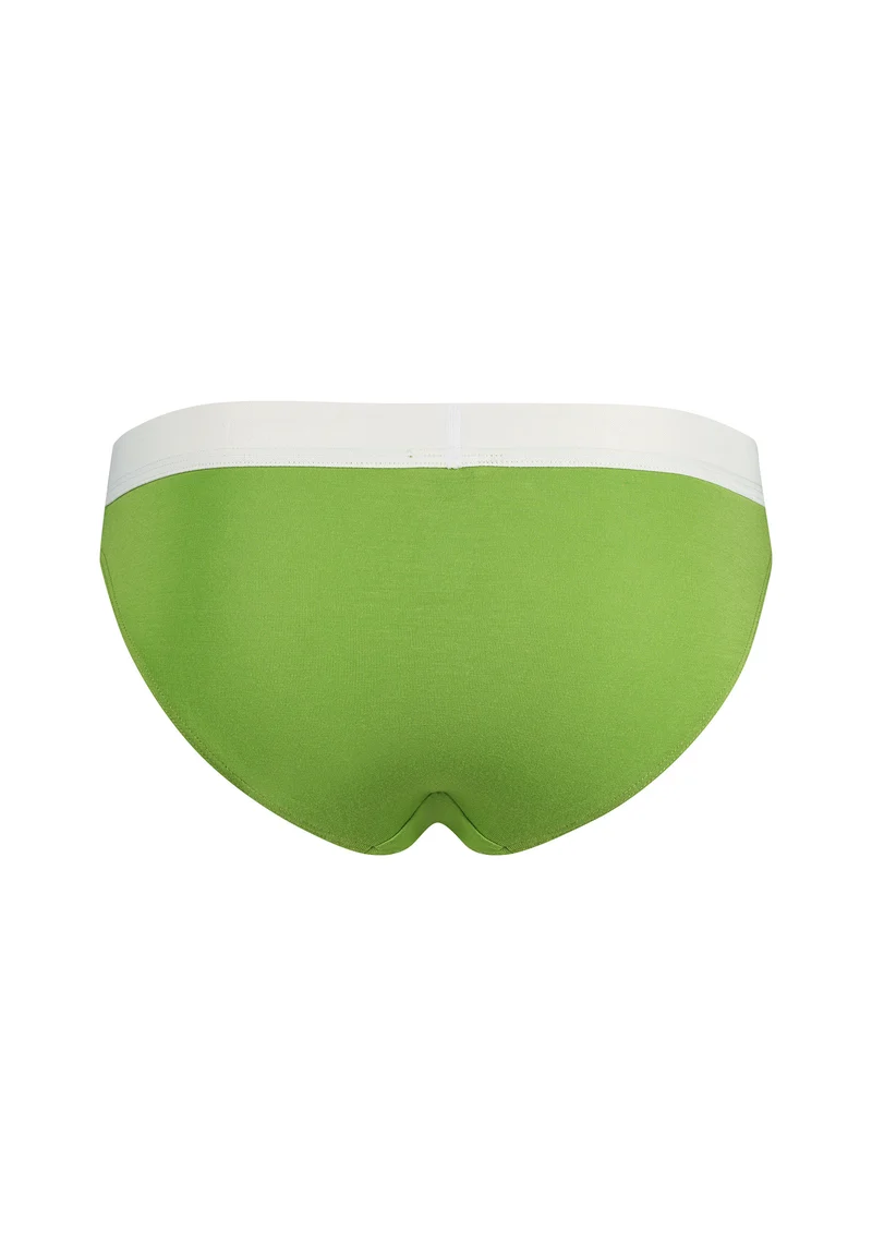 Modal Retro Bikini briefs | meadow green 083322-08S860