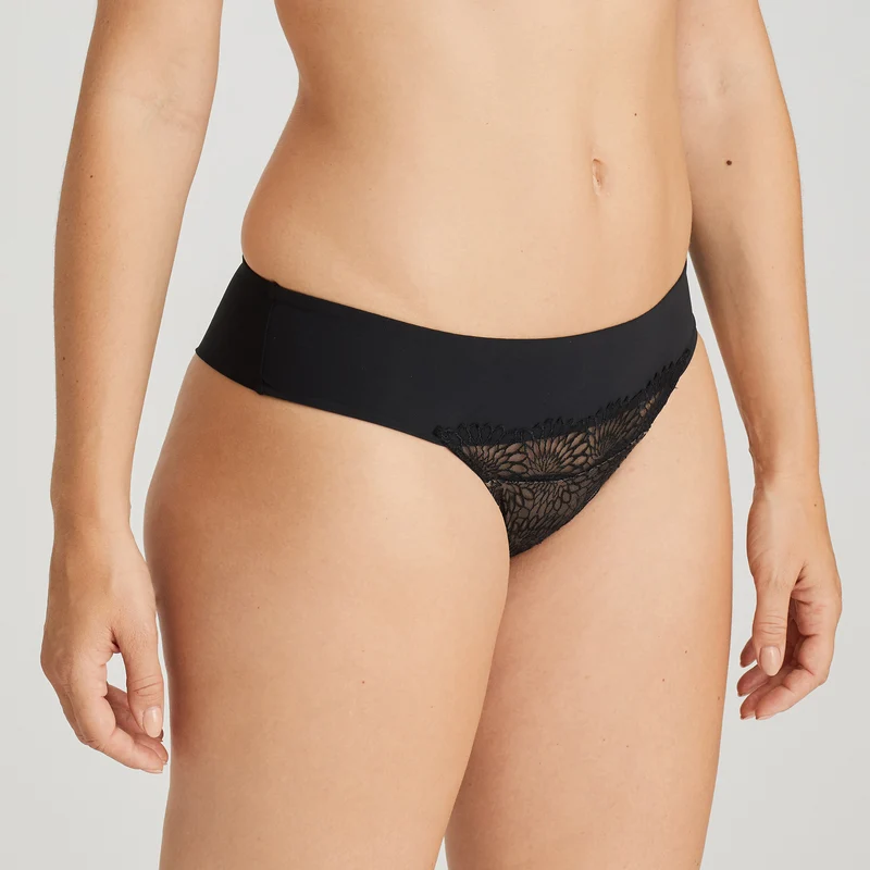 String Sophora 0663181