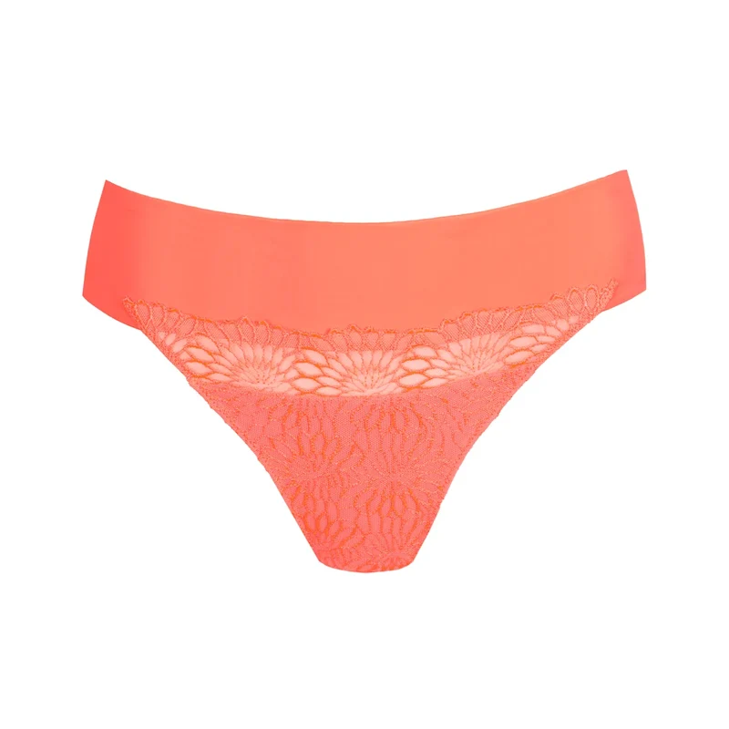 String Sophora 0663181