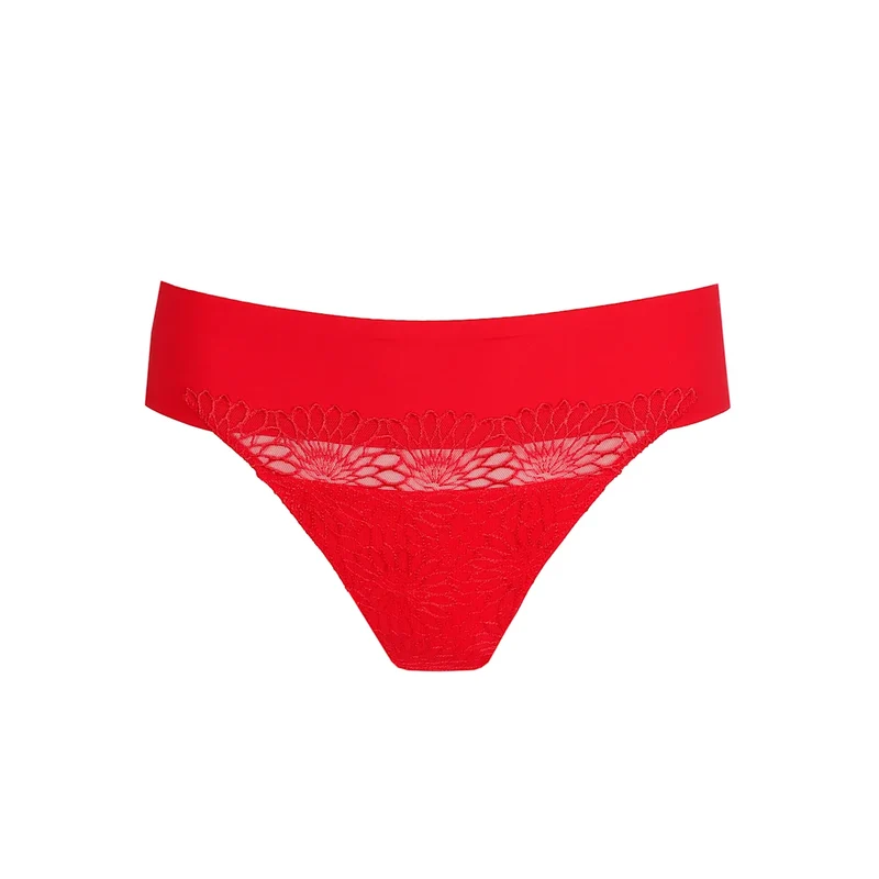 String Sophora 0663181