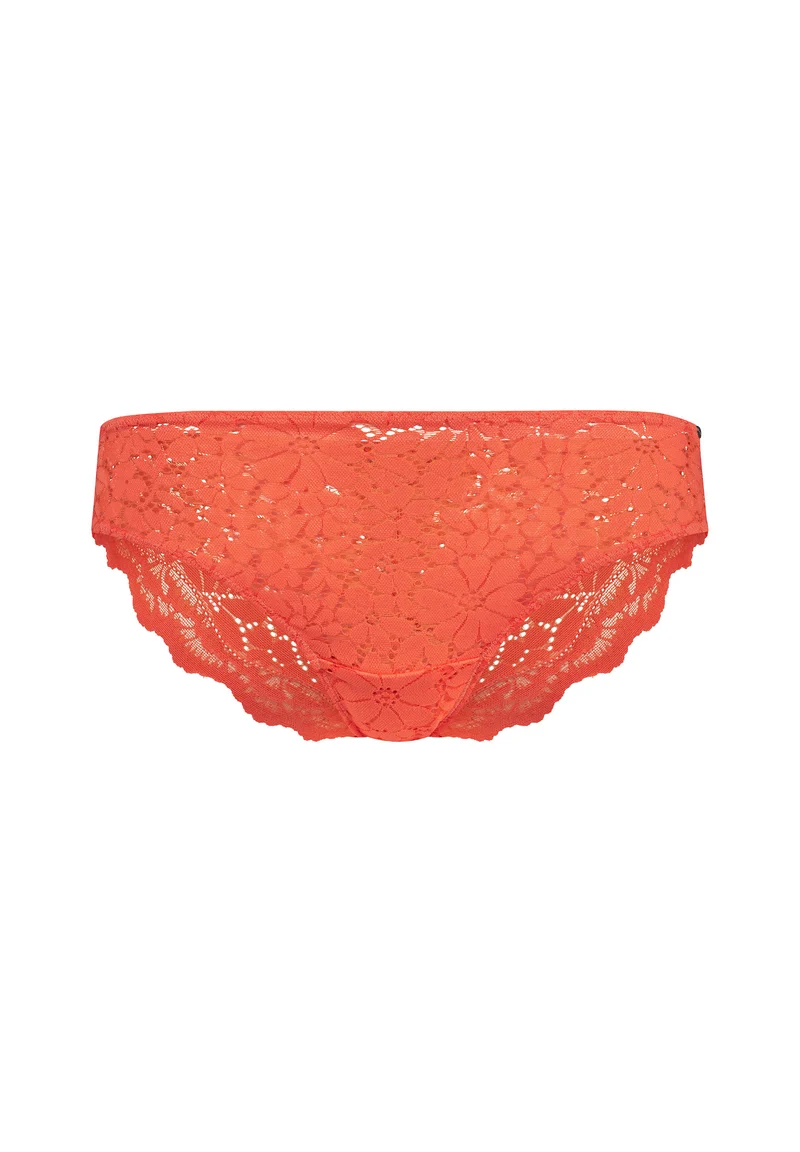 Wonderfulace Bikini briefs | cheeky flamingo 081163-08S551