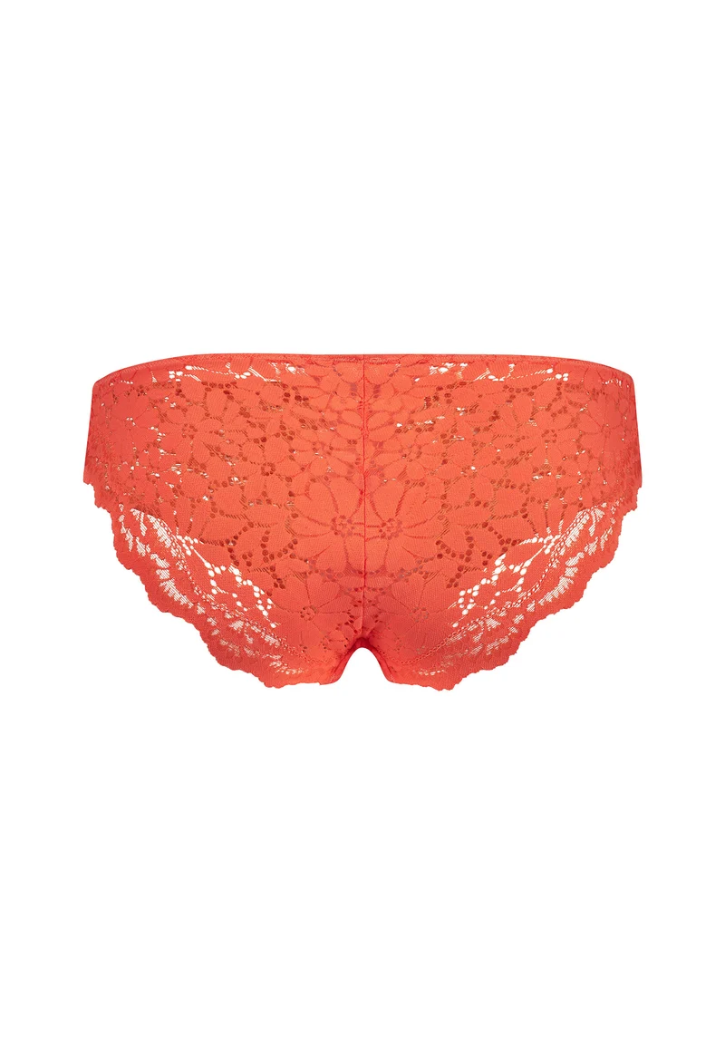 Wonderfulace Bikini briefs | cheeky flamingo 081163-08S551