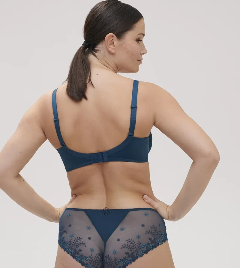 Simone Perele - Delice Sheer Plunge Bra Prestige Blue