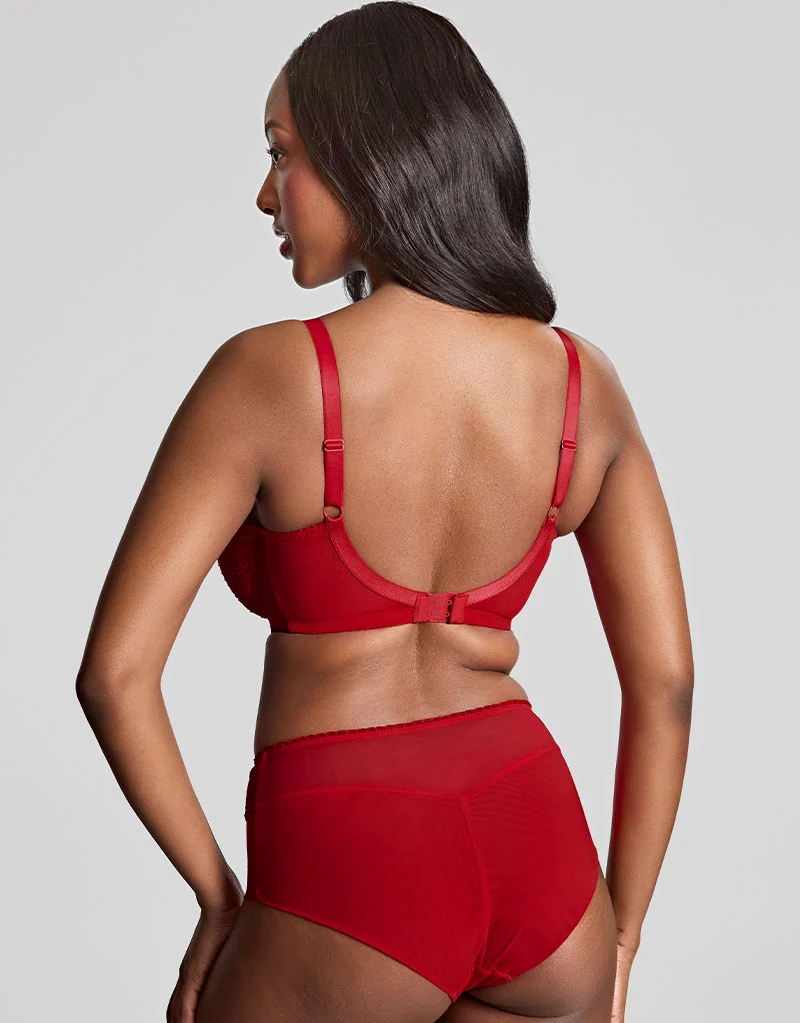 Panache Tango Lace Deep Brief Scarlet Red