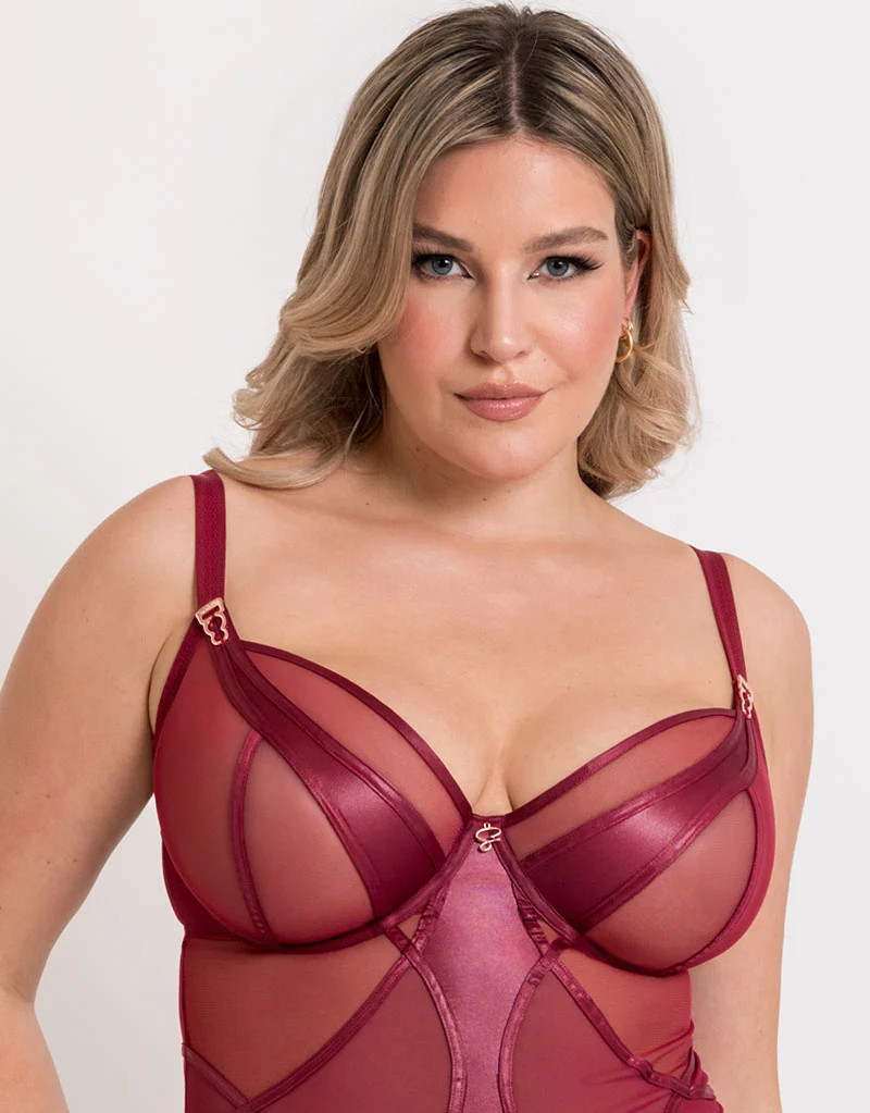 Scantilly Suspense Plunge Bodysuit Sangria