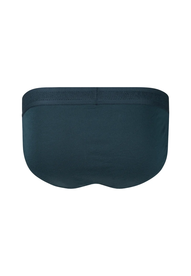 Cotton Retro Tanga briefs 2 pack | orion blue 080691-08S993