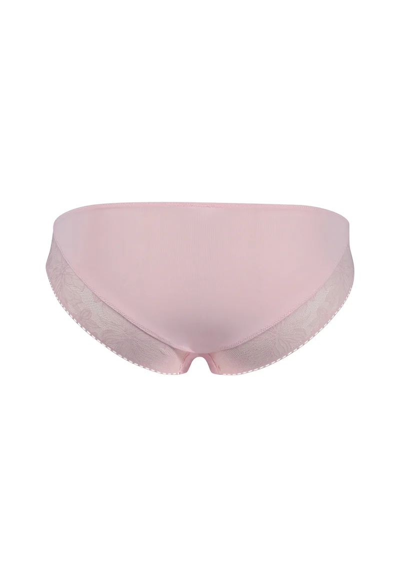 Micro Lace Bikini briefs | future rose 080609-08S560