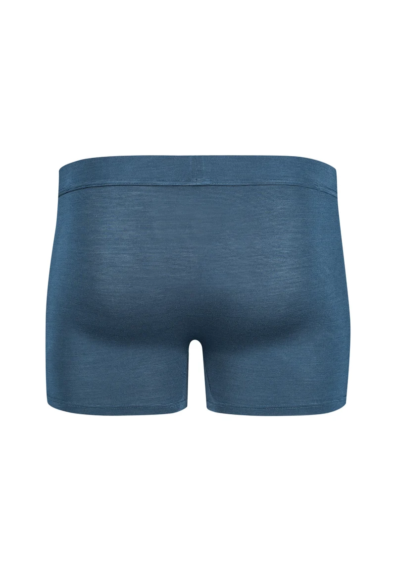 Cooling Deluxe Boxer briefs | insigniablue stripes 080410-08S733