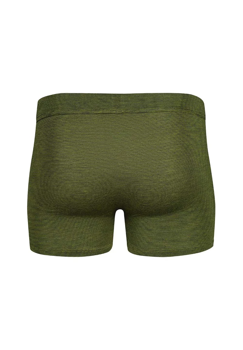 Cooling Deluxe Boxer briefs | magicalkiwi stripes 080410-08S872