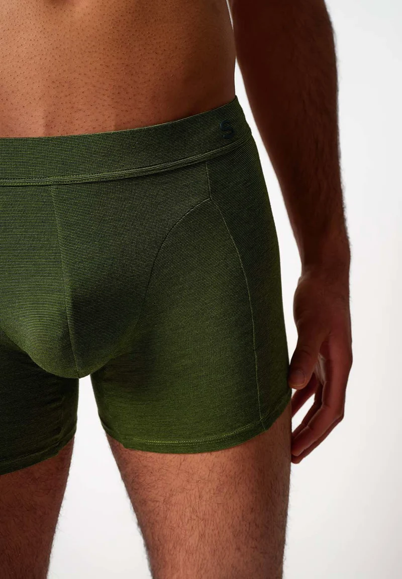 Cooling Deluxe Boxer briefs | magicalkiwi stripes 080410-08S872