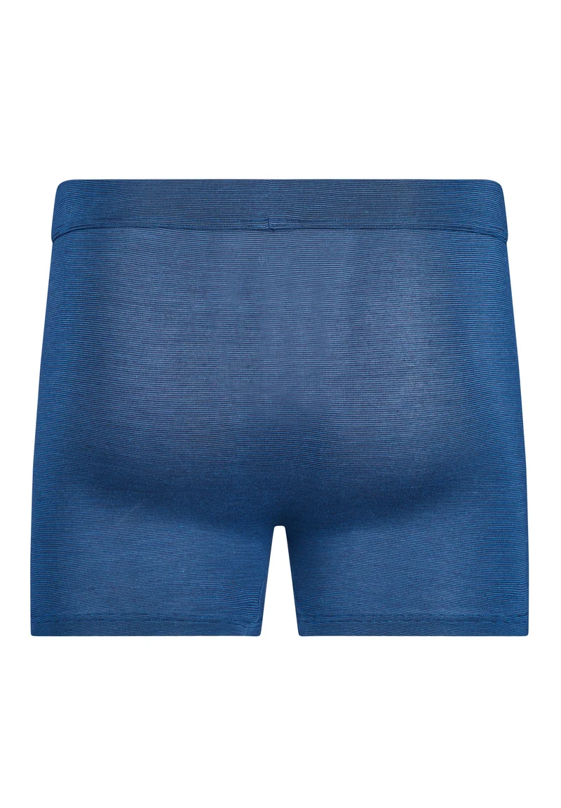 Cooling Deluxe Boxer briefs | crownblue stripes 080410-08S017