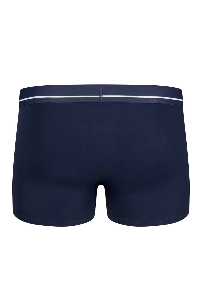 Micro Deluxe Trunks | crown blue 080321-080393