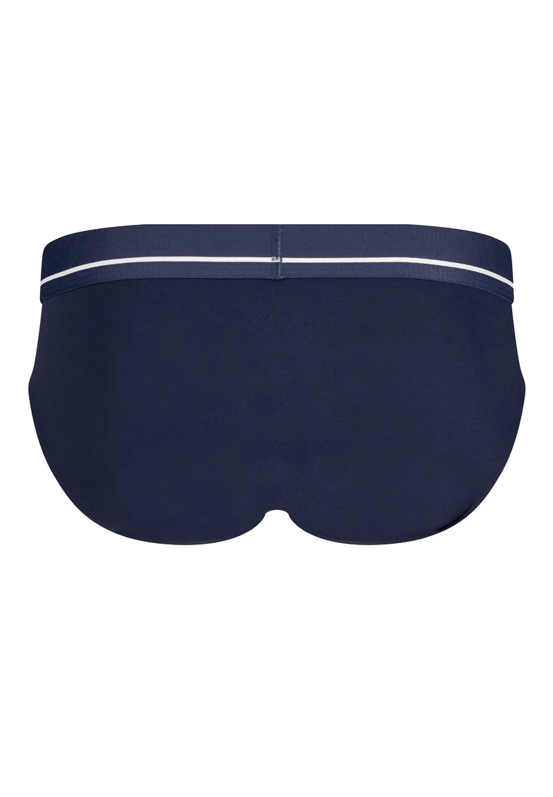 Micro Deluxe Briefs | crown blue 080320-080393