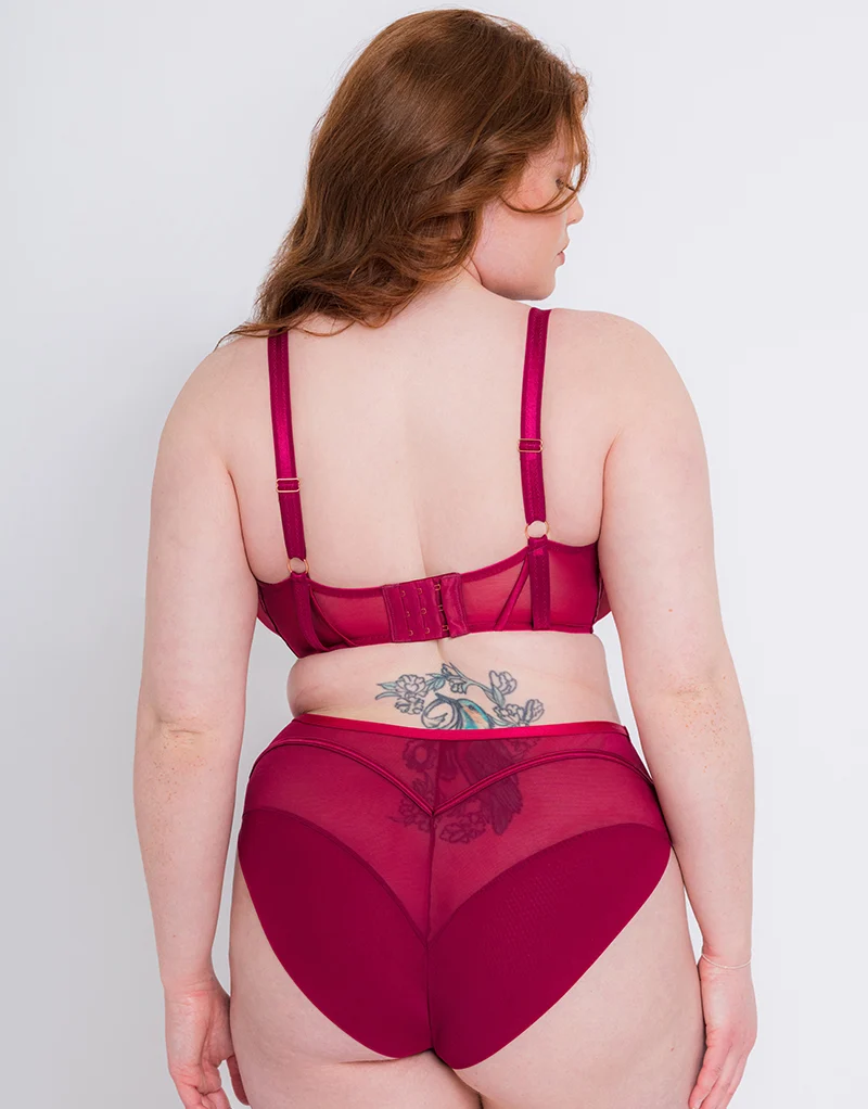 Scantilly Senses High Waist Brief Cherry